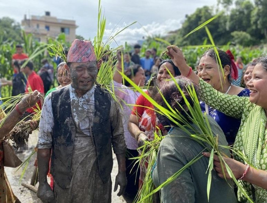 बद्री पंगेनीसहित आधा दर्जन बढी गायक गायिकाले गरे रोपाइँ